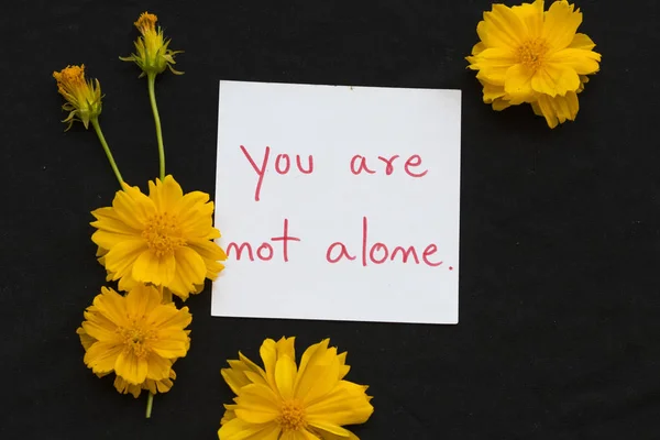 You Alone Message Card Handwriting Yellow Flowers Cosmos Arrangement Flat — Stock Photo, Image