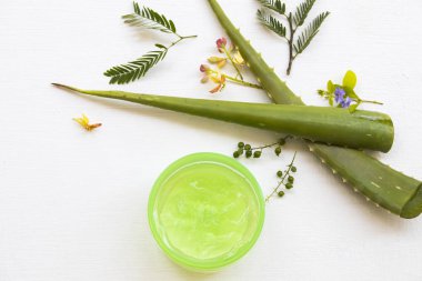 Doğal kozmetik bitkisel aroma yatıştırıcı jel cilt için bitkisel aloe vera sağlık hizmetleri yüz maskesi düzenleme düz arka plan beyaz üzerine yatıyordu