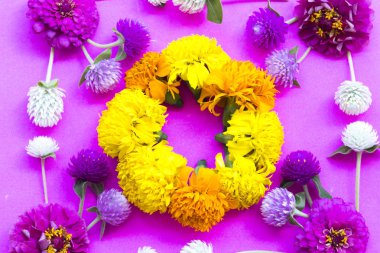 # Renkli çiçekler # # mor beyaz ve pembe renk # # kadife çiçekleri sarı, turuncu renk # # pembe zinya yerel bitki örtüsü # # Asya düzenleme düzleştirici düz kartpostal stili # 