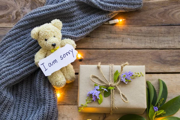 Sorry Message Card Handwriting Gift Box Light Teddy Bear Knitting —  Fotos de Stock