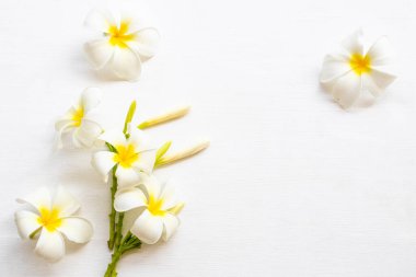 Bahar mevsiminde Asya 'nın beyaz çiçekleri ve yerel florası arka planda beyaz kartpostal stilinde yatıyordu.