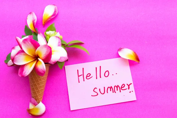 Hallo Sommer Botschaftskarte Handschrift Mit Bunten Blumen Frangipani Anordnung Flach — Stockfoto