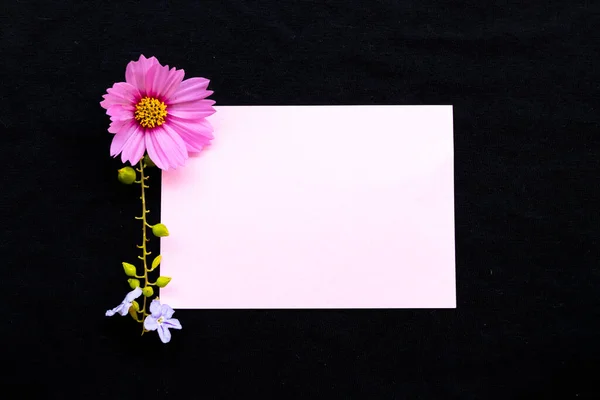 Notepaper Pink Flowers Cosmos Purple Flowers Arrnagement Flat Lay Postcard — стоковое фото