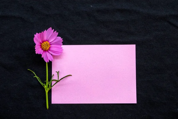 Notepaper Pink Flowers Cosmos Arrnagement Flat Lay Postcard Style Background — стоковое фото