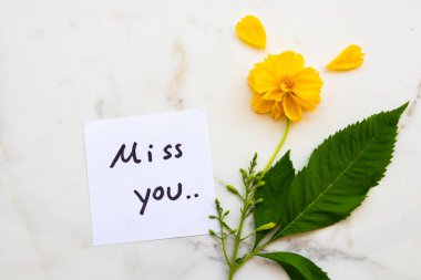 Sarı çiçekli mesaj kartı el yazını özledim. Kozmos düzenleme düz bir şekilde arka plan beyaz üzerine yatıyordu.