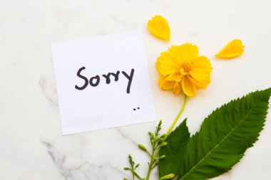sorry message card handwriting with yellow flowers cosmos arrangement flat lay postcard style on background white clipart