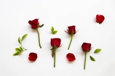 Renkli kırmızı gül çiçek düzenleme düz arkaplan beyaz üzerine uzanan kartpostal biçimi 