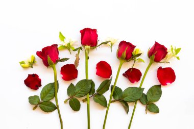 Renkli kırmızı gül çiçek düzenleme düz arkaplan beyaz üzerine uzanan kartpostal biçimi 