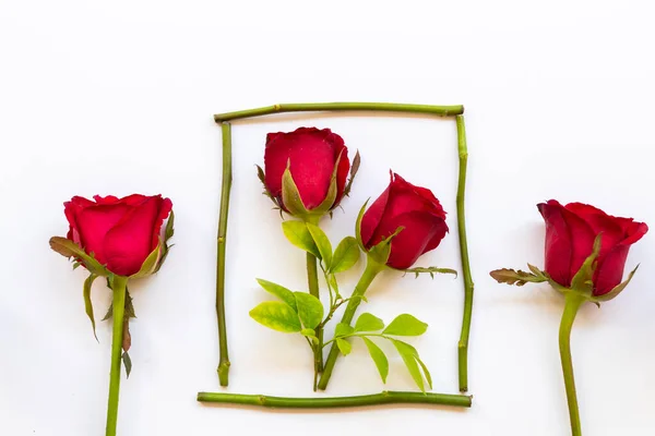 Πολύχρωμο Κόκκινο Τριαντάφυλλο Λουλούδια Διάταξη Επίπεδη Lay Στυλ Καρτ Ποστάλ — Φωτογραφία Αρχείου