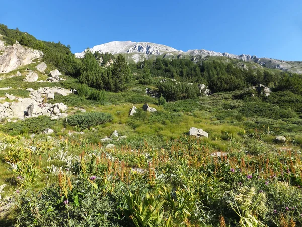 Καταπληκτικό Τοπίο Vihren Peak Pirin Mountain Βουλγαρία — Φωτογραφία Αρχείου