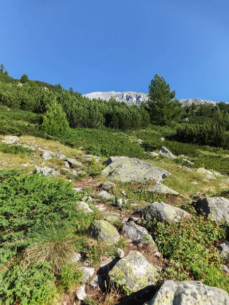 Şaşırtıcı Yatay Yol Üzerinden Bir Vihren Tepe Pirin Dağı Bulgaristan — Stok fotoğraf