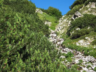 Şaşırtıcı yatay yol üzerinden bir Vihren tepe, Pirin Dağı, Bulgaristan tırmanma için