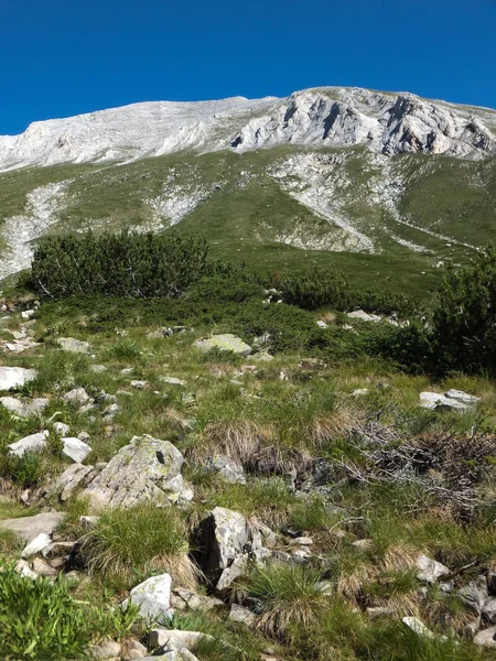 Paisaje Increíble Con Pico Vihren Montaña Pirin Bulgaria —  Fotos de Stock