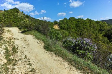 Bahar manzara yakınındaki kaya oluşumu Stob piramitler, Rila Dağı, Köstendil bölge, Bulgaristan