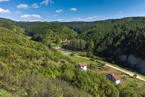 Bahar manzara yakınındaki kaya oluşumu Stob piramitler, Rila Dağı, Köstendil bölge, Bulgaristan