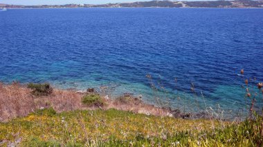 Ammouliani Island, Athos, Chalkidiki, Orta Makedonya, Yunanistan sahil şeridi 