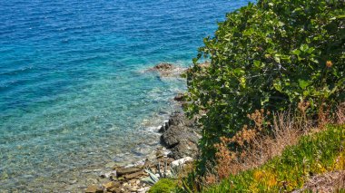 Ammouliani Island, Athos, Chalkidiki, Orta Makedonya, Yunanistan sahil şeridi 
