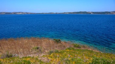 Ammouliani Island, Athos, Chalkidiki, Orta Makedonya, Yunanistan sahil şeridi 