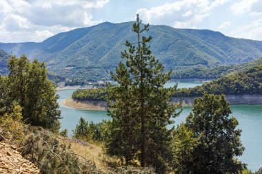 Vacha barajı etrafındaki yeşil tepeler, Rodop Dağları, Filibe Bölgesi, Bulgaristan