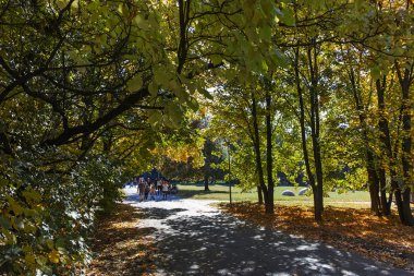 Sofia, Bulgaristan - 15 Ekim 2017: Bulgaristan Sofya şehir South Park'taki sarı ağaçları ile sonbahar görüntülemek