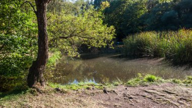 Yaz görünümü South Park şehir Sofya, Bulgaristan