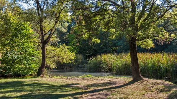 Yaz görünümü South Park şehir Sofya, Bulgaristan