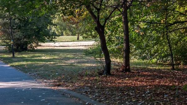 Yaz görünümü South Park şehir Sofya, Bulgaristan