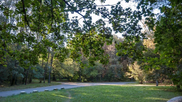 Sommer Blick Auf Südpark Der Stadt Sofia Bulgarien — Stockfoto