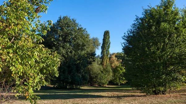 Summer View South Park City Sofia Bulgaria — Stock Photo, Image