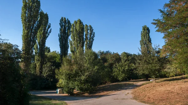 Vista Verano South Park Ciudad Sofía Bulgaria —  Fotos de Stock