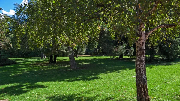 Trees Gardens South Park City Sofia Bulgaria — Stock Photo, Image