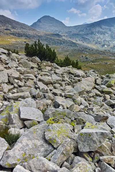 Muhteşem manzara Spano kutup, Pirin Milli Parkı, Bulgaristan