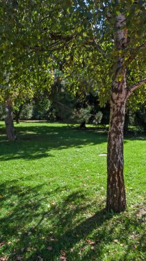 Sofia, Bulgaristan - 26 Eylül 2018: Ağaçlar ve Bulgaristan Sofya şehir South Park bahçeler, yatay