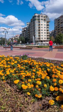 Sofia, Bulgaristan - 26 Eylül 2018: Çeşmeler ve South Park Bulgaristan Sofya şehir girişinde bahçeleri
