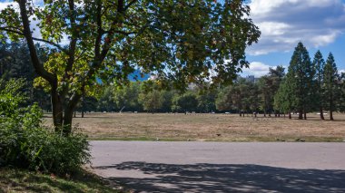 Sofia, Bulgaristan - 26 Eylül 2018: Ağaçlar ve Bulgaristan Sofya şehir South Park bahçeler, yatay