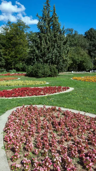 Sofia Bułgaria Września 2018 Krajobraz Drzew Ogrodów South Park Mieście — Zdjęcie stockowe