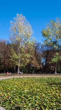 Sofia, Bulgaristan - 5 Ekim 2018: Yatay, ağaçlar ve bahçeler Borisova gradina (Boris Bahçe) şehir Sofya, Bulgaristan