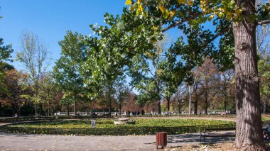 Sofia, Bulgaristan - 5 Ekim 2018: Yatay, ağaçlar ve bahçeler Borisova gradina (Boris Bahçe) şehir Sofya, Bulgaristan