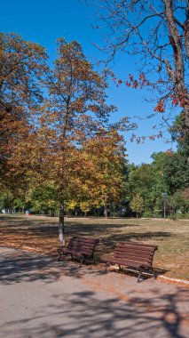 Sofia, Bulgaristan - 5 Ekim 2018: Yatay, ağaçlar ve bahçeler Borisova gradina (Boris Bahçe) şehir Sofya, Bulgaristan