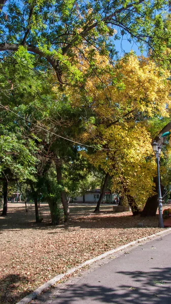 Sofia Bulgarien Oktober 2018 Landschaft Mit Bäumen Und Gärten Borisova — Stockfoto