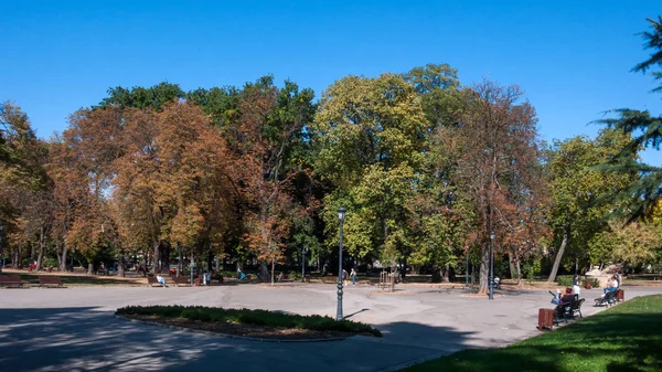 Sofia Bulgaria Octubre 2018 Paisaje Con Árboles Jardines Borisova Gradina — Foto de Stock