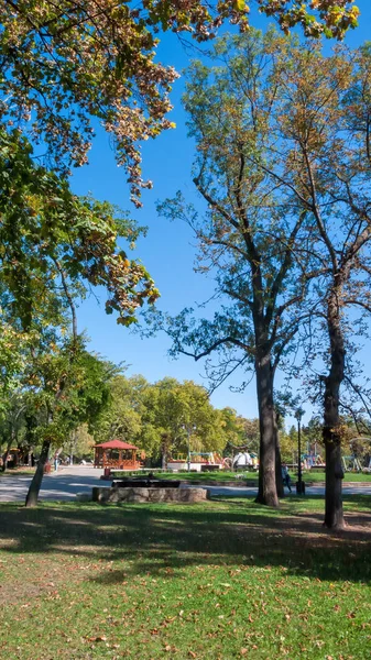 Sofia Bulgária Outubro 2018 Paisagem Com Árvores Jardins Borisova Gradina — Fotografia de Stock