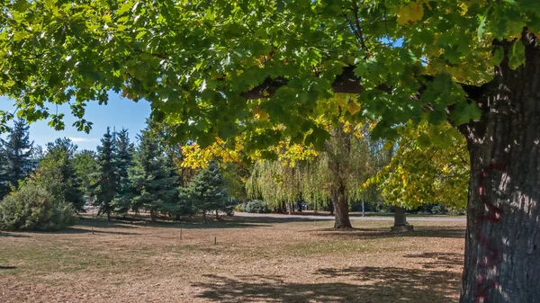 Sofia Bulgaria Octubre 2018 Paisaje Con Árboles Jardines Borisova Gradina — Foto de Stock