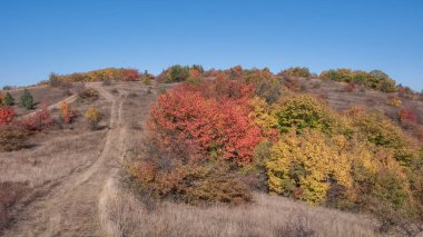 Şaşırtıcı sonbahar manzara Cherna Gora (Karadağ) Dağı, Pernik bölge, Bulgaristan