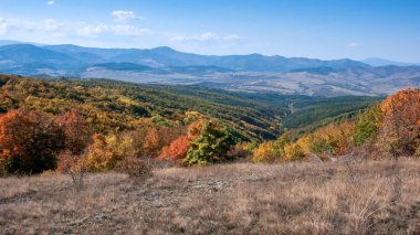 Şaşırtıcı sonbahar manzara Cherna Gora (Karadağ) Dağı, Pernik bölge, Bulgaristan
