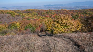 Şaşırtıcı sonbahar manzara Cherna Gora (Karadağ) Dağı, Pernik bölge, Bulgaristan