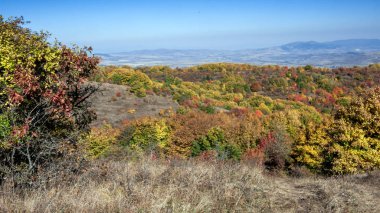 Şaşırtıcı sonbahar manzara Cherna Gora (Karadağ) Dağı, Pernik bölge, Bulgaristan