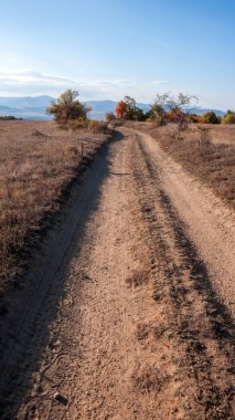 Şaşırtıcı sonbahar manzara Cherna Gora (Karadağ) Dağı, Pernik bölge, Bulgaristan