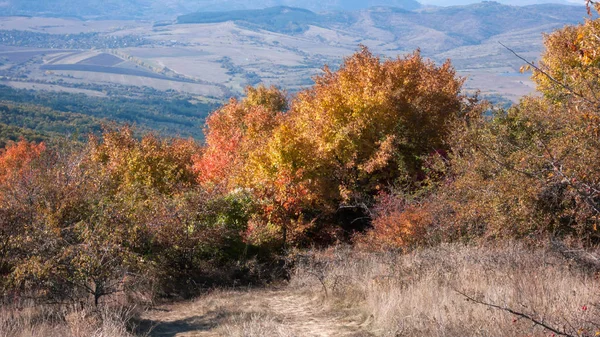 Amazing Autumn Landscape Cherna Gora Monte Negro Mountain Pernik Region — Stock Photo, Image