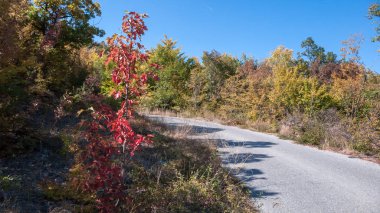 Şaşırtıcı sonbahar manzara Ruen dağ - kuzey kesiminde Vlahina Dağı, Köstendil bölge, Bulgaristan